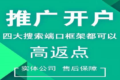 某某SEM团队成功案例：广告投放策略揭秘